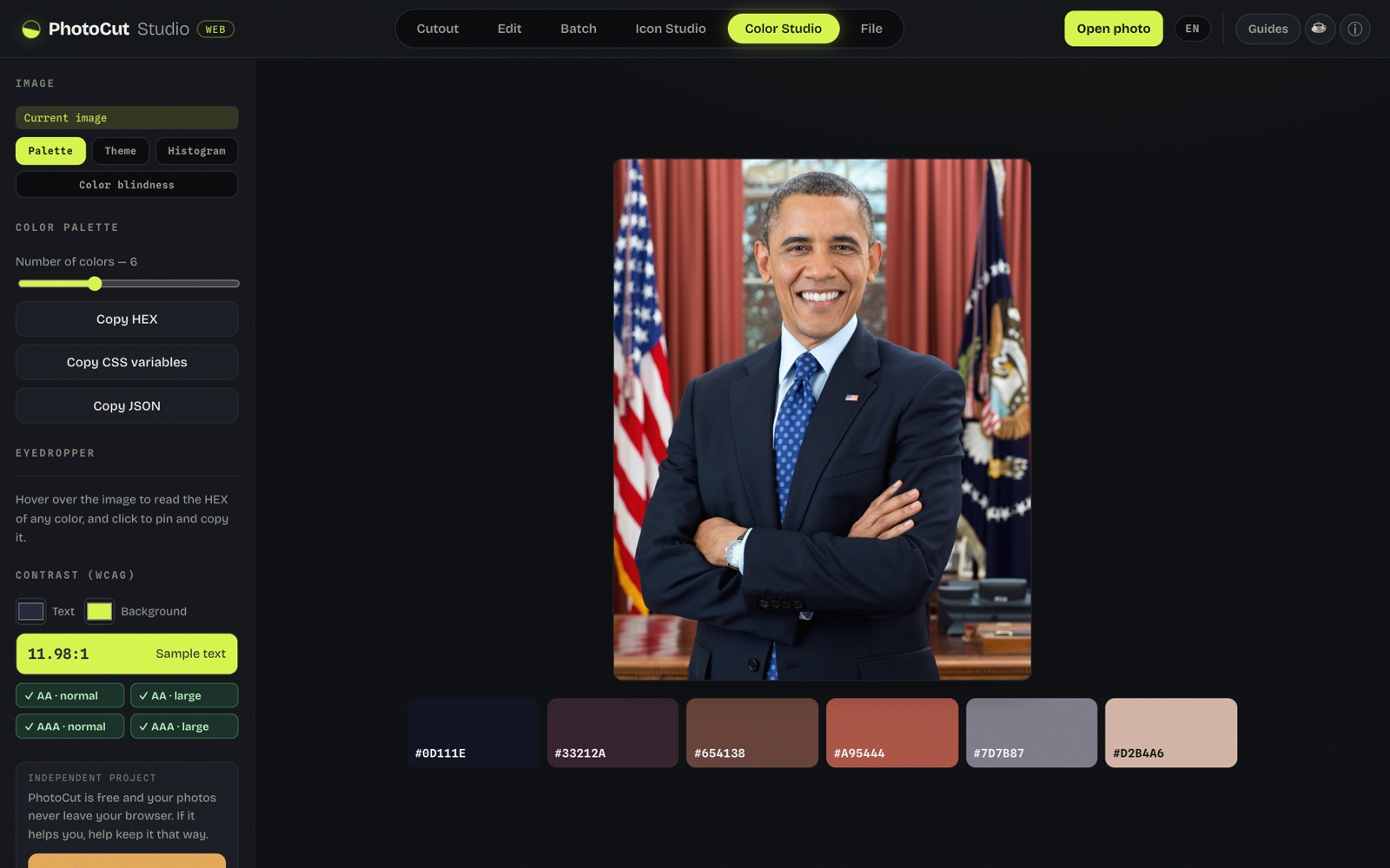 PhotoCut Studio's Color Studio showing a 6-color palette extracted from a photo, with HEX codes and buttons to copy HEX, CSS and JSON.